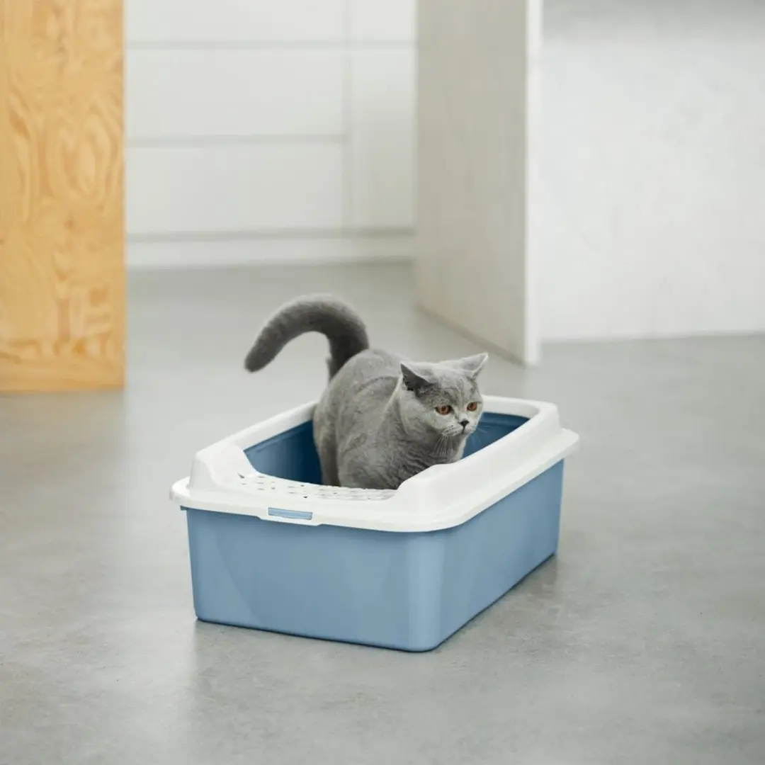 Rotho My Pet Bonnie Kattenbak - 56x17x40cm - Blauw/Wit