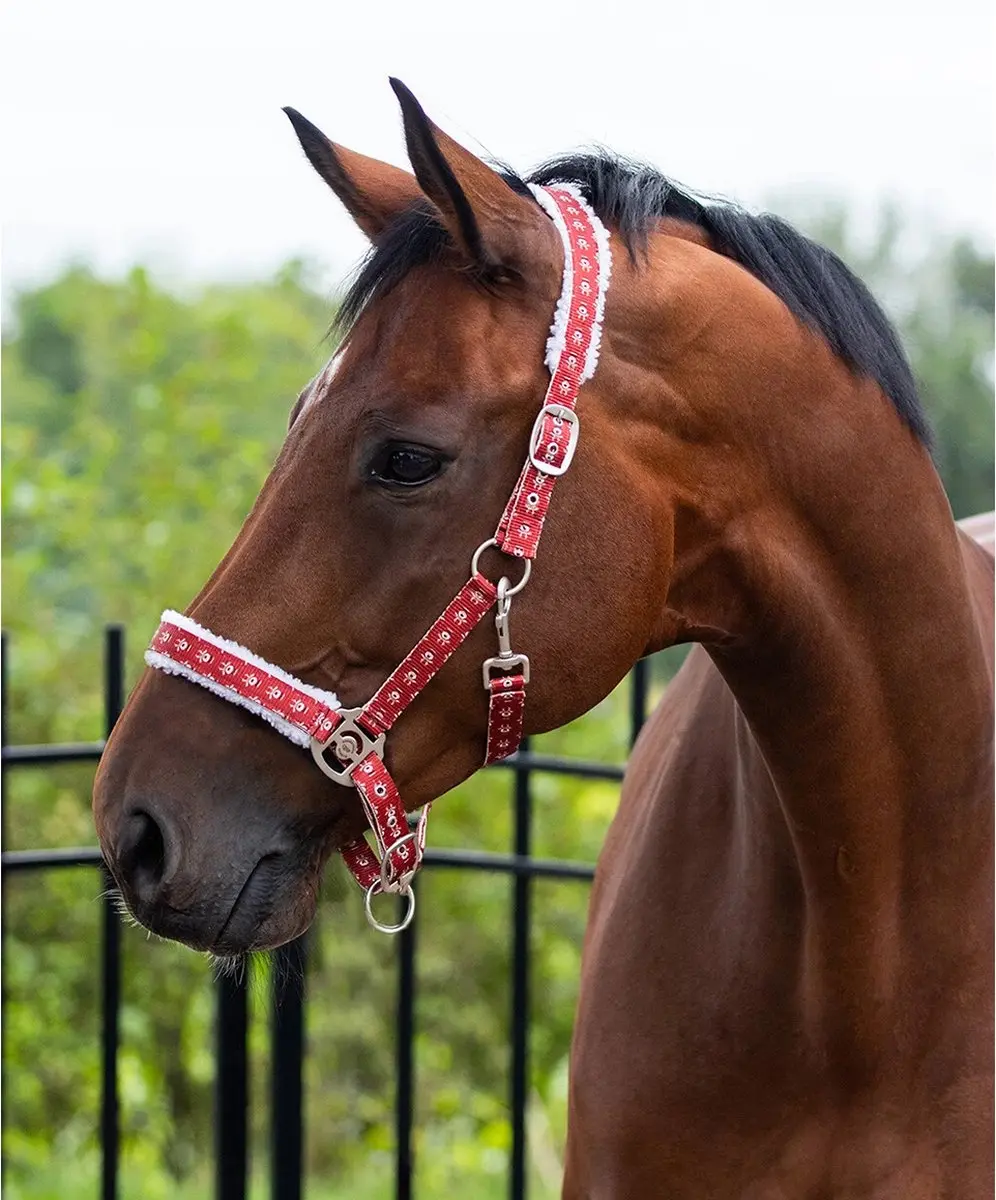 QHP Kerst Rudolph Halster - Rood - Maat Cob - afbeelding 2 van 3