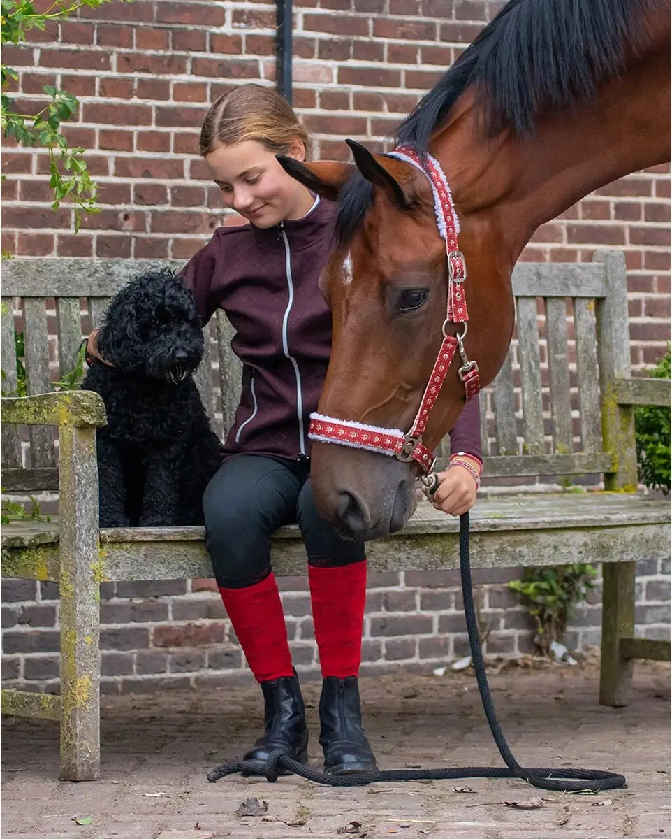 QHP Kerst Rudolph Halster - Rood - Maat Cob - afbeelding 3 van 3