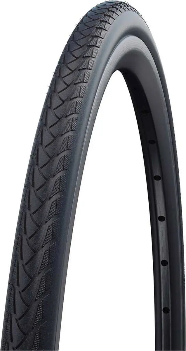 Schwalbe Marathon Plus Rolstoelband 24" - Zilver