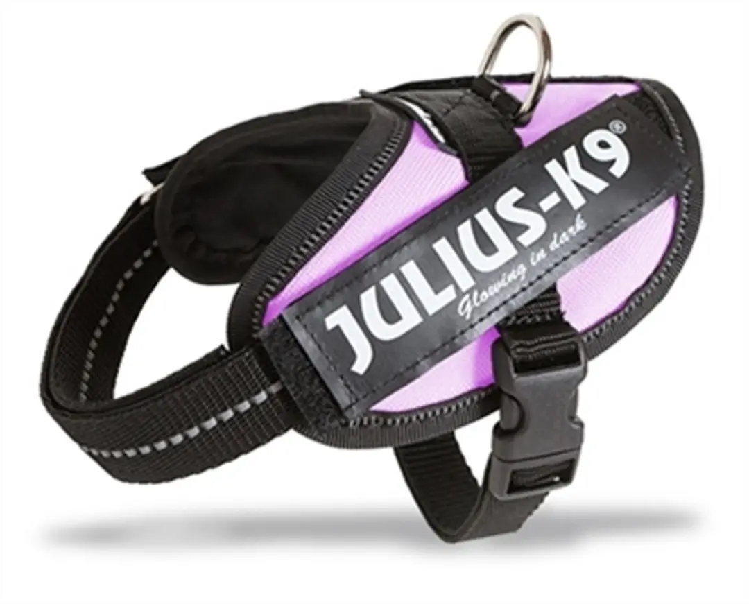 Julius K9 IDC Powertuig Power L