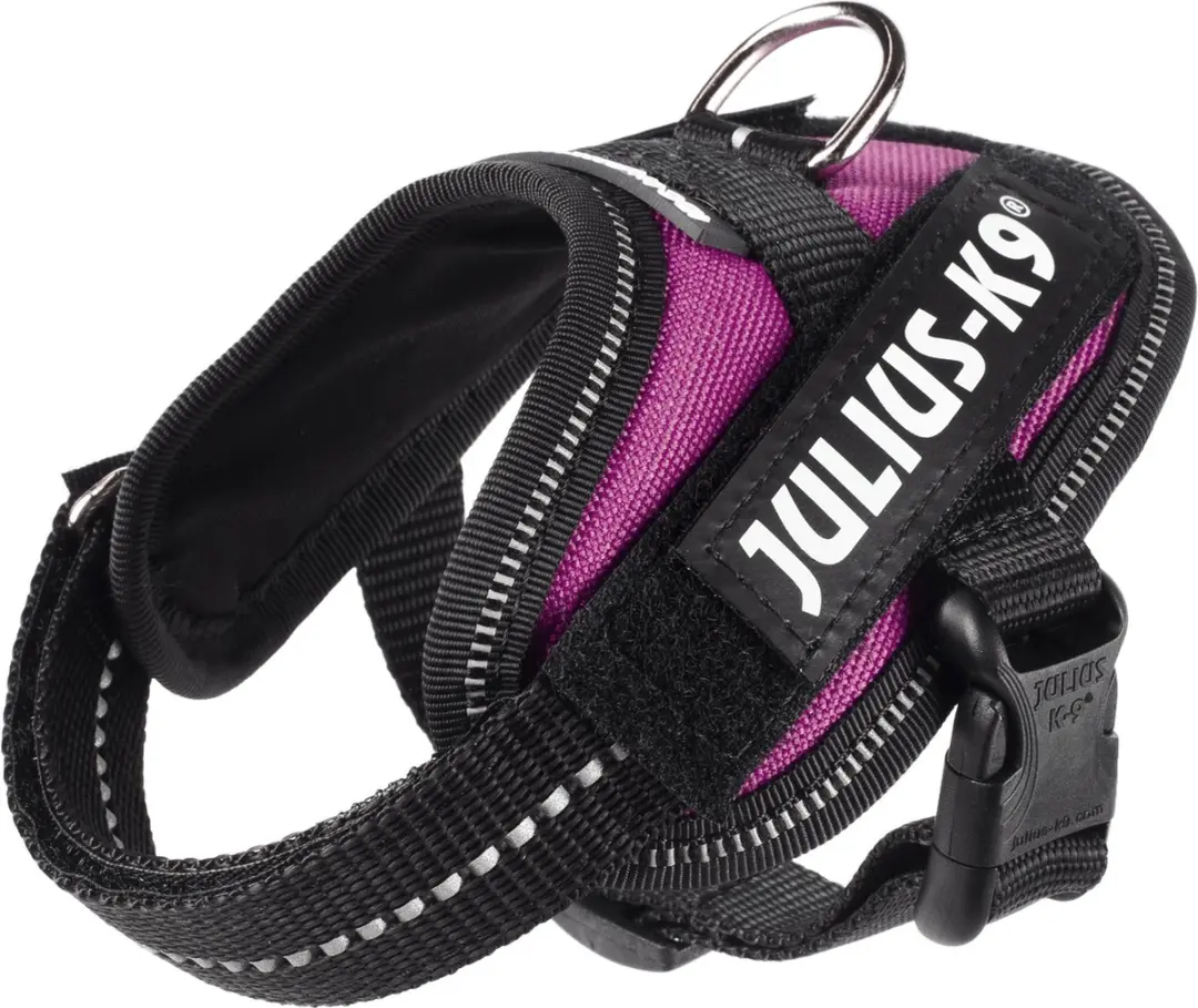 Julius K9 IDC Powertuig 3XS