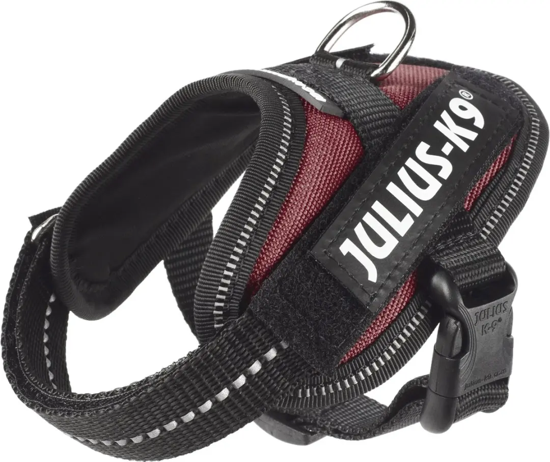 Julius K9 IDC Powertuig 3XS
