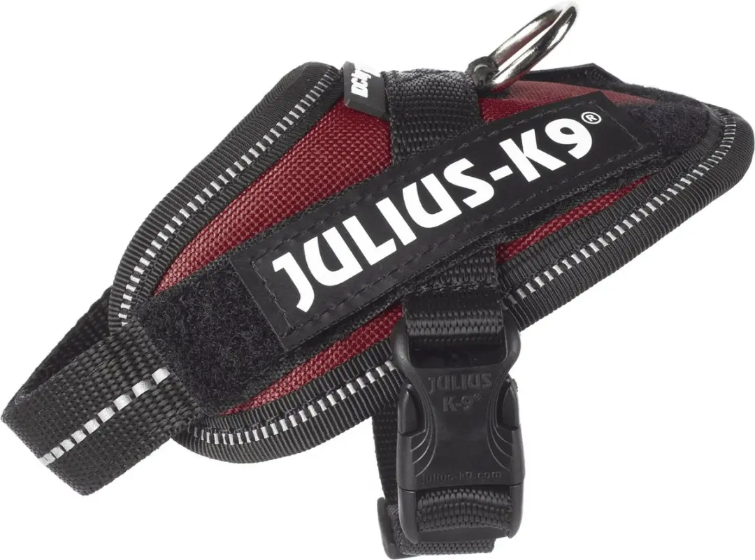 Julius K9 IDC Powertuig 3XS - Claret Bruin