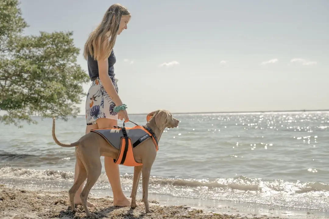 Julius K9 JK9 Multivest 4-in-1 Hondenjas - Maat M - UV Oranje