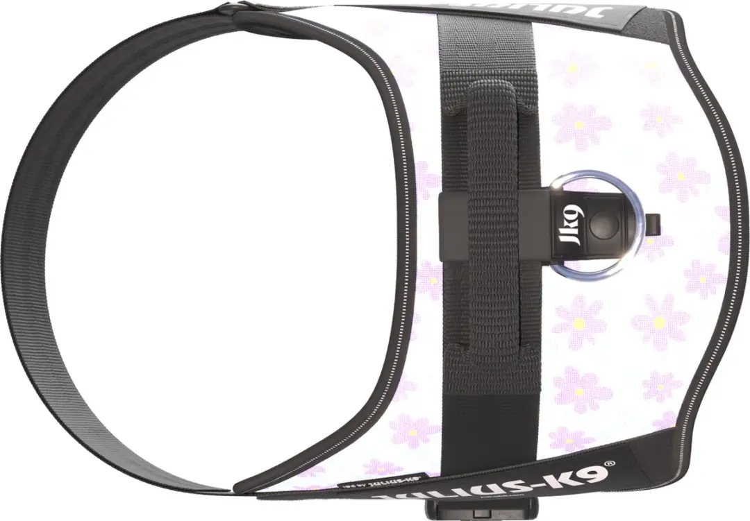 Julius K9 IDC Powertuig Lichtblauw - 2XL