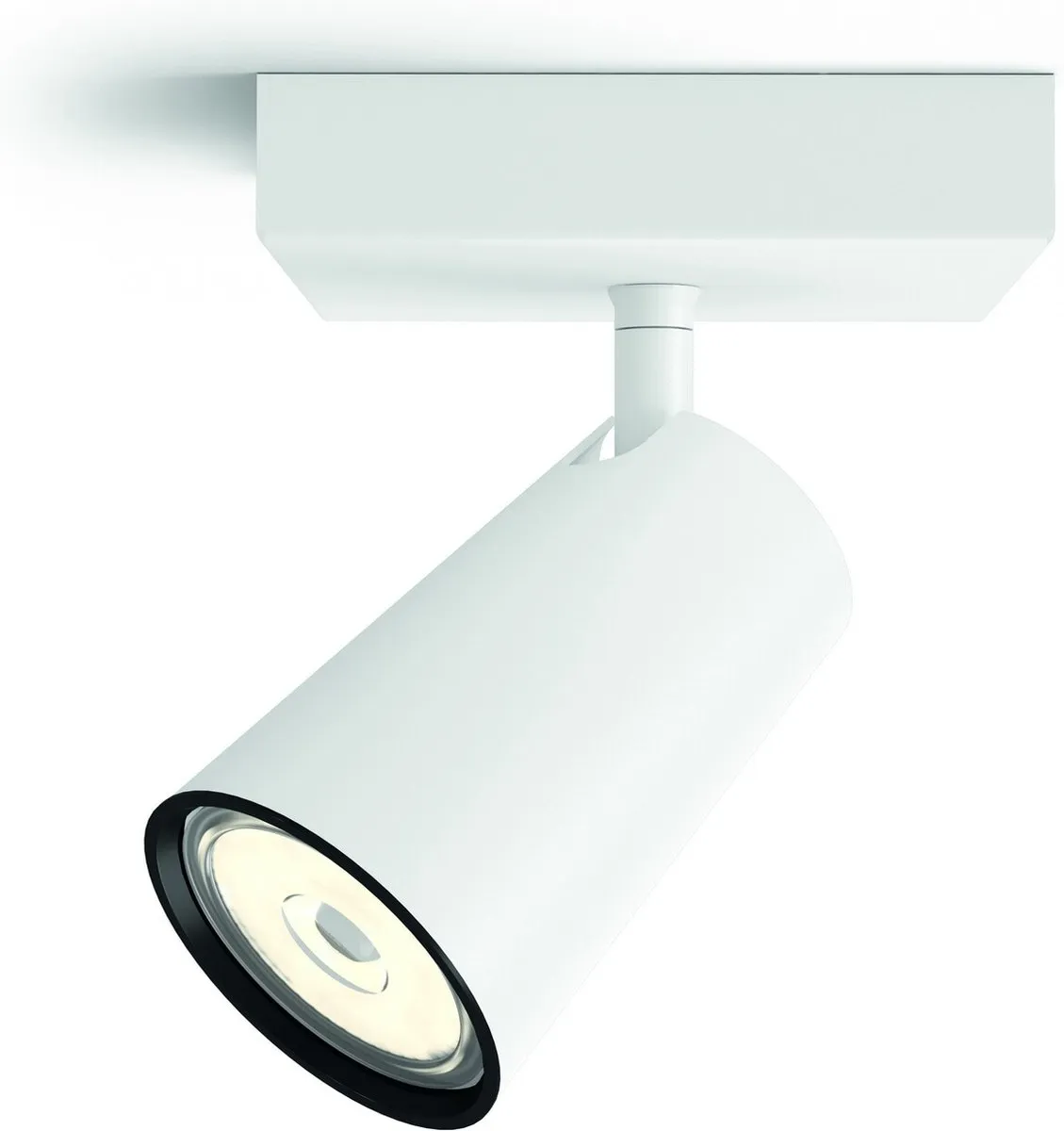 Philips Paisley Opbouwspot 1-lichts