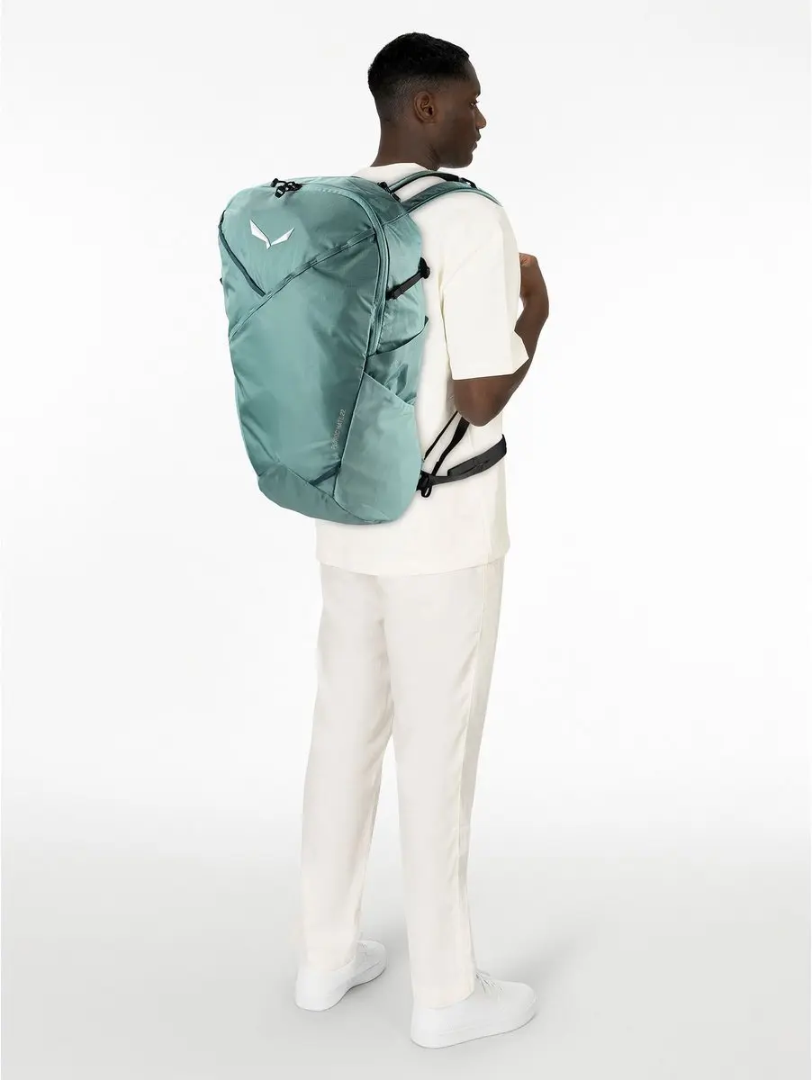 Salewa Pedroc Mate 22L Rugzak - Willow