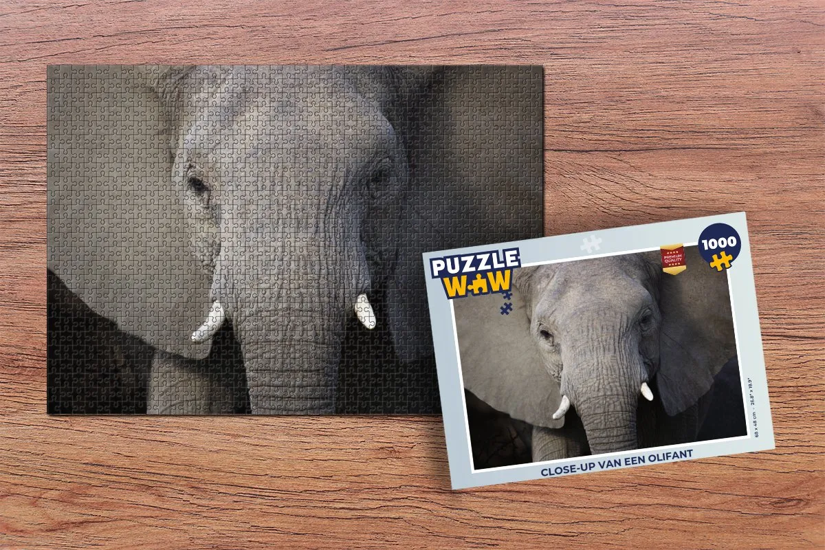 PuzzleWow Legpuzzel Olifant 1000 Stuks - Multicolor