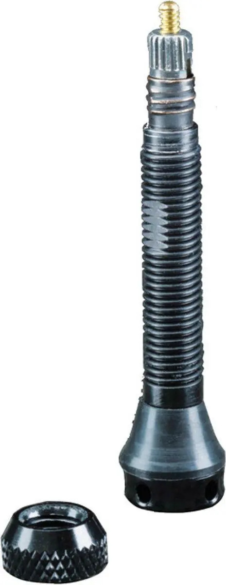 Schwalbe Tubeless Ventiel 60mm - Set van 2 Zwart