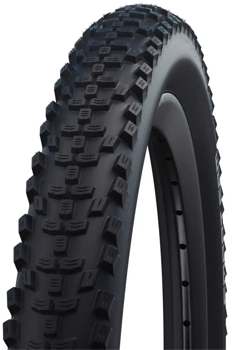 Schwalbe Smart Sam 26x2.25 Buitenband