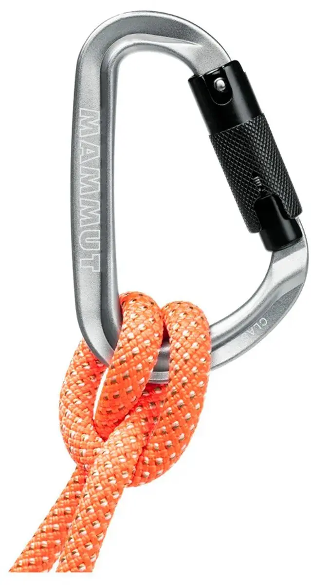 Mammut Classic Hms Twistlock Plus Karabijnhaak - Zilver