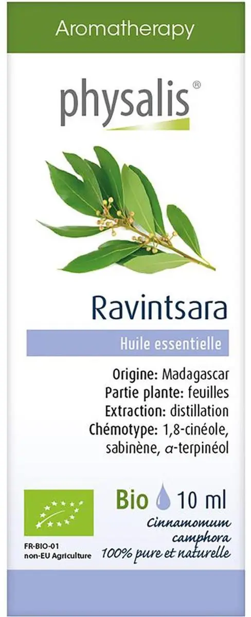 Physalis Etherische Olie Ravintsara Bio 10ml