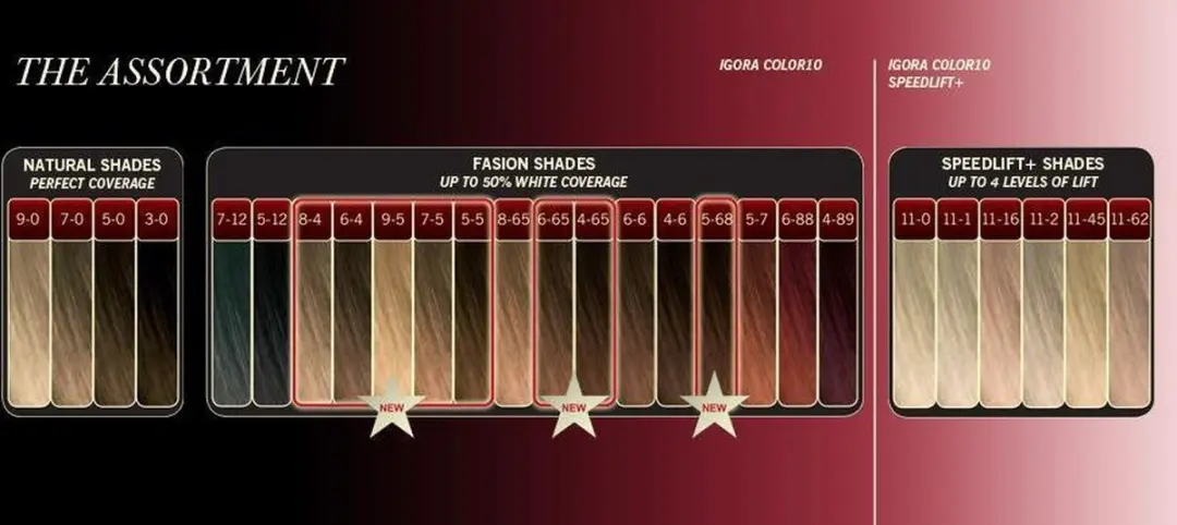 Schwarzkopf Igora Royal Color 10 8-00 Developer 60ml - 60 Stuks