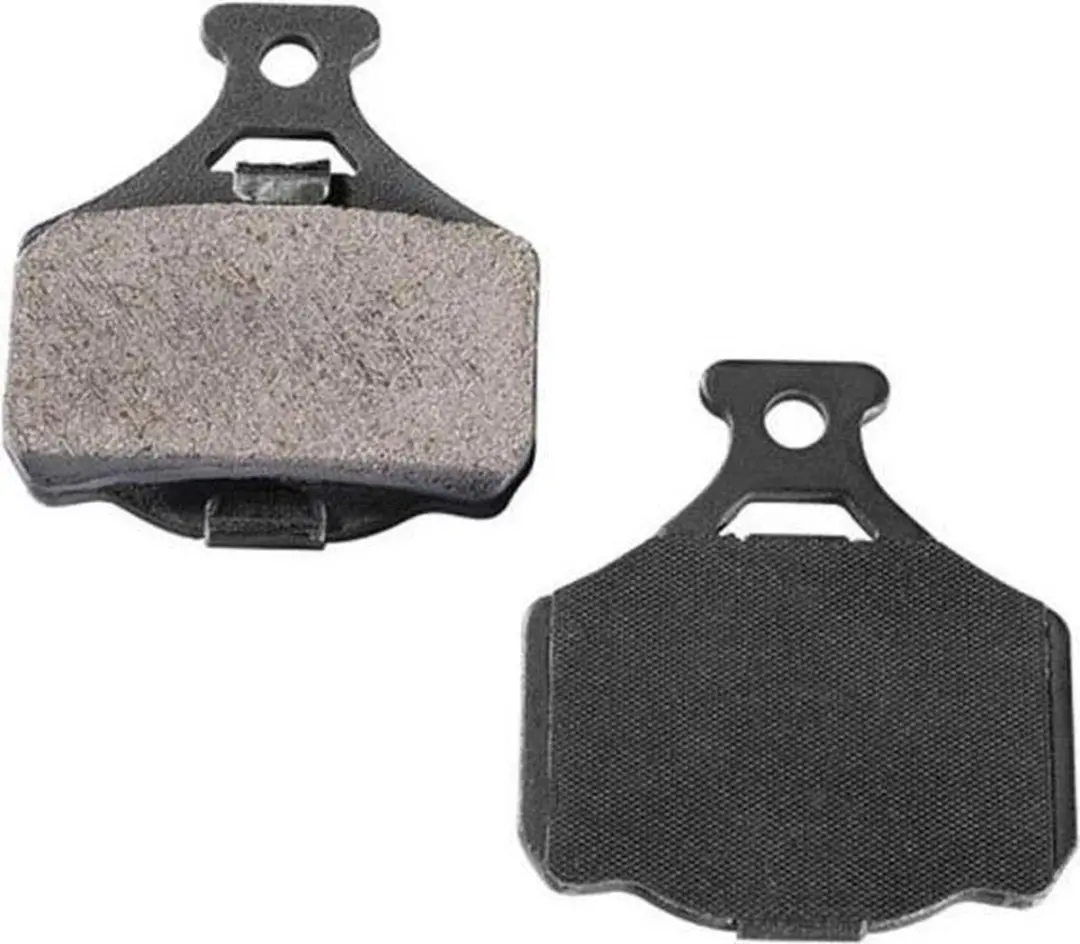 Campagnolo Remblok Disc 2 Stuks - Zwart