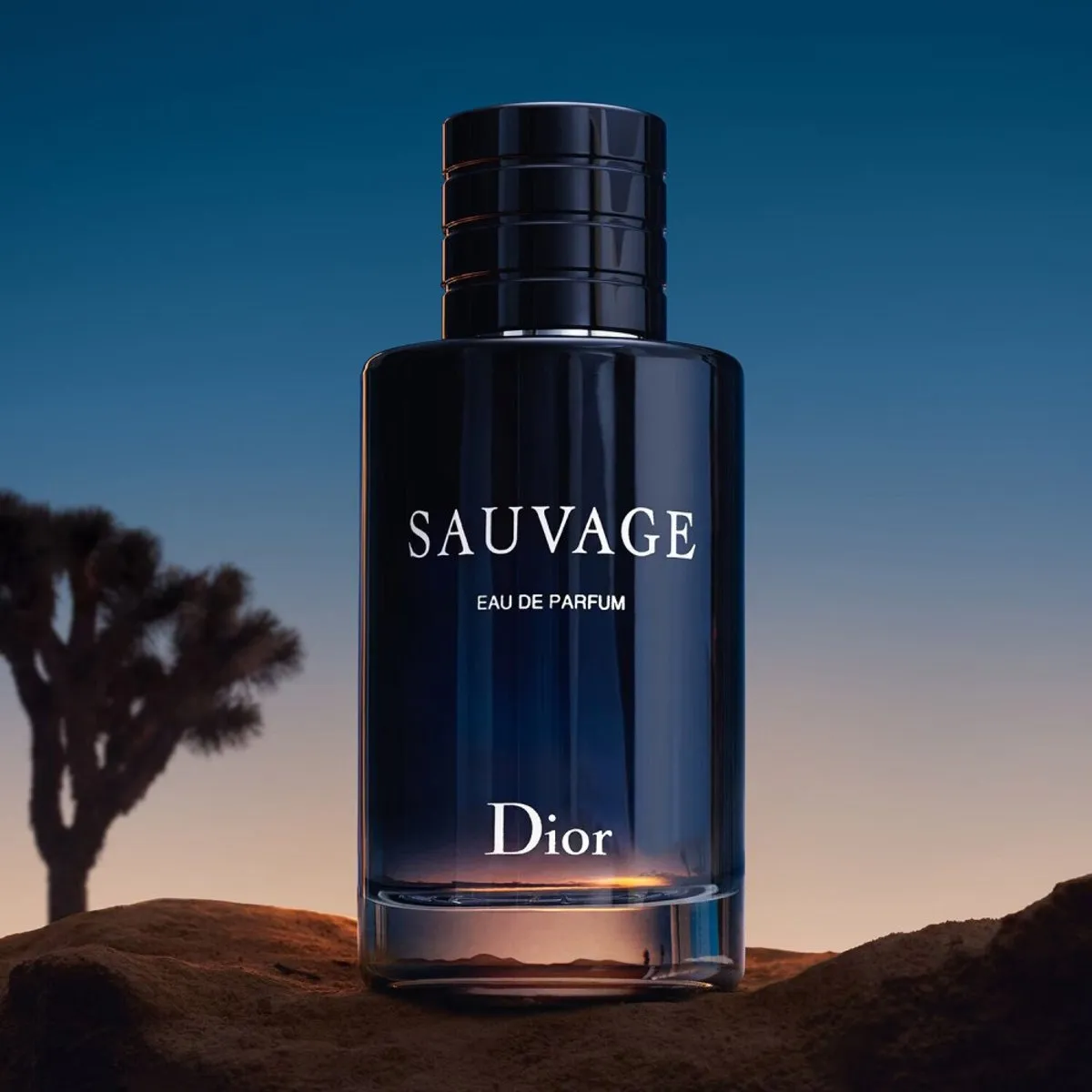 Dior Sauvage Eau de Parfum - 200ml