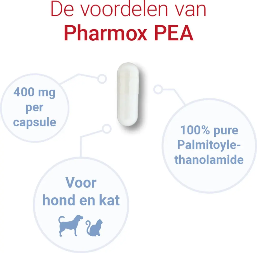 Pharmox PEA 100% Puur Capsules 60x Hond & Kat - afbeelding 5 van 6