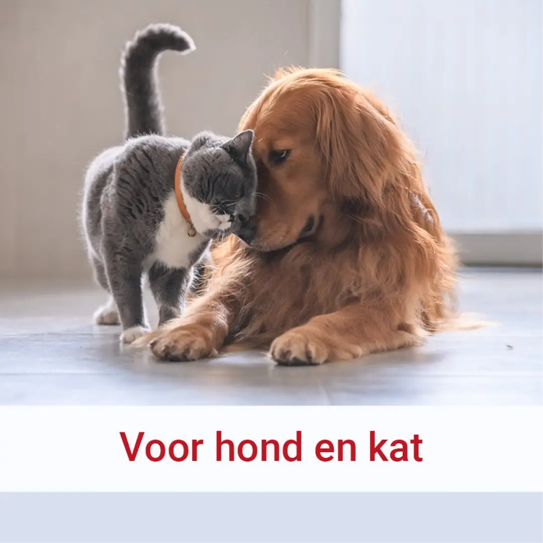 Pharmox PEA 100% Puur Capsules 60x Hond & Kat - afbeelding 4 van 6