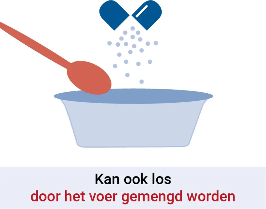 Pharmox PEA 100% Puur Capsules 60x Hond & Kat - afbeelding 3 van 6