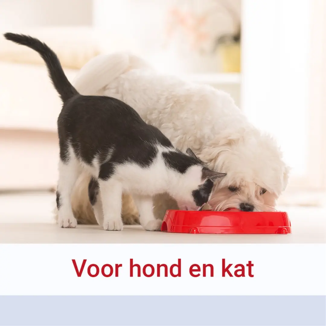 Pharmox Groenlipmossel 60 Capsules - Hond & Kat - afbeelding 2 van 6