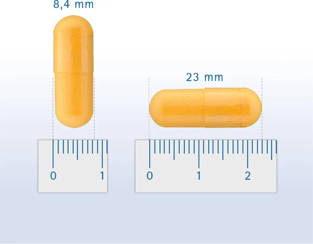 Pharmox Groenlipmossel 60 Capsules - Hond & Kat - afbeelding 6 van 6