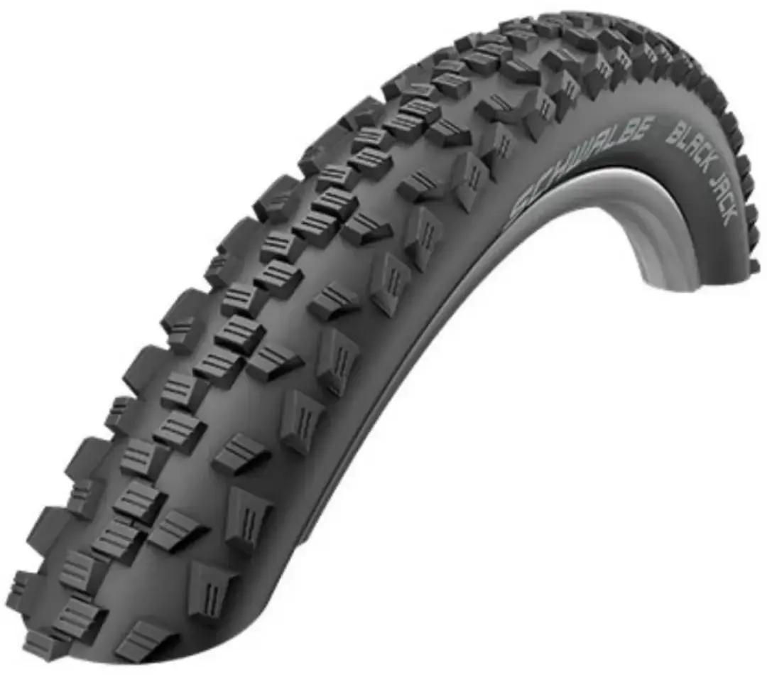 Schwalbe Fietsband