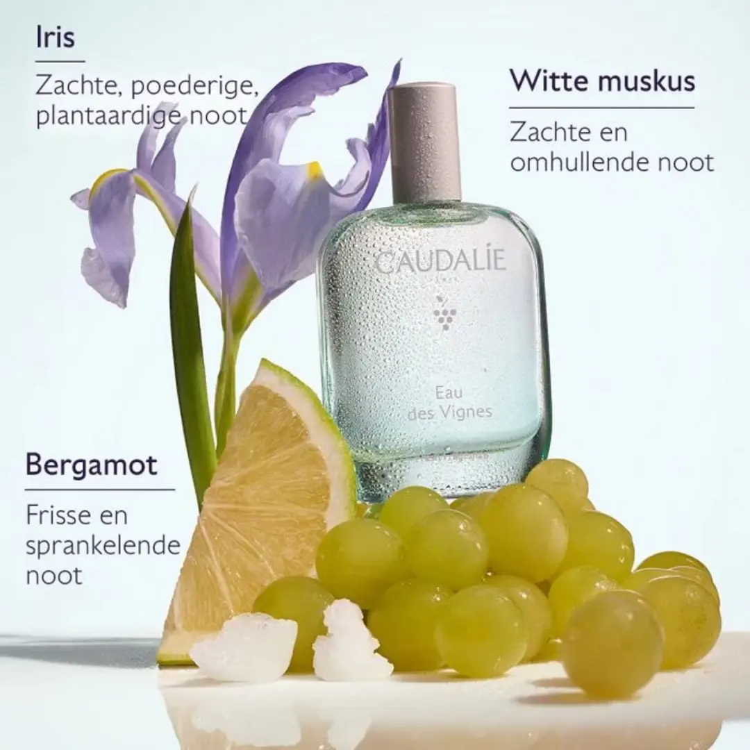 Caudalie Eau des Vignes 50ml - Verfrissend Water - afbeelding 5 van 5