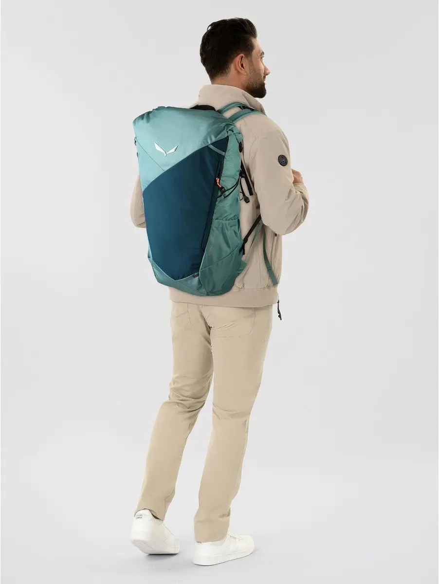 Salewa Pedroc Core 22L Rugzak - Willow