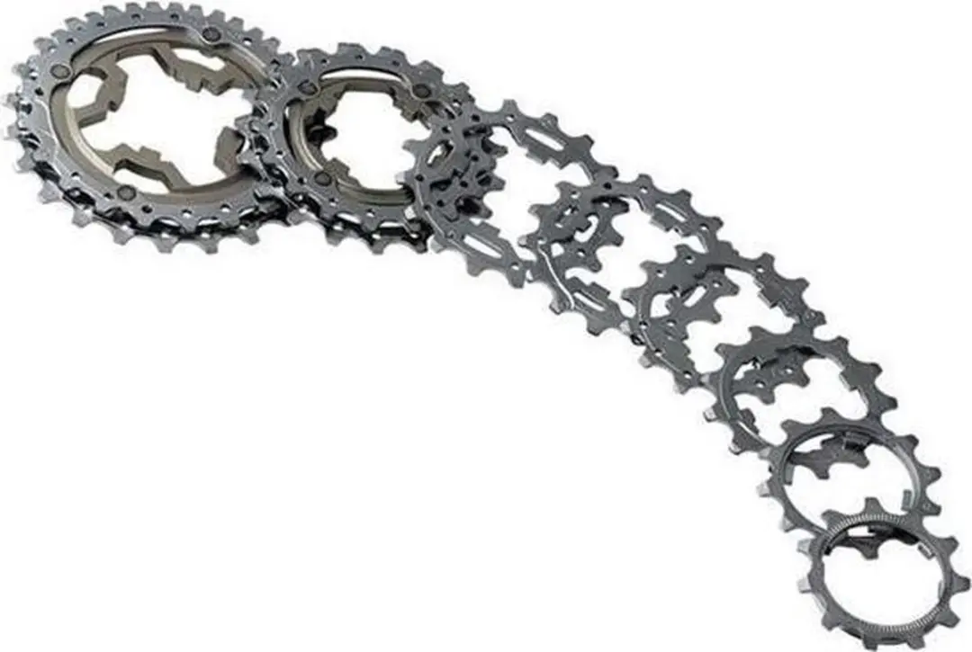 Campagnolo CA 10V Cassette 204T - 10 Versnellingen - Zwart