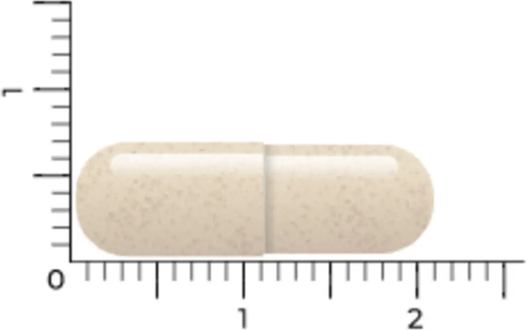 Vitakruid DPP-IV Ultimate 90 Vegicaps - afbeelding 4 van 6