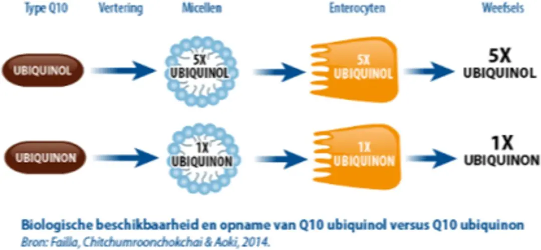 Vitakruid Q10 Ubiquinol & Omega-3 60 Capsules - afbeelding 5 van 6