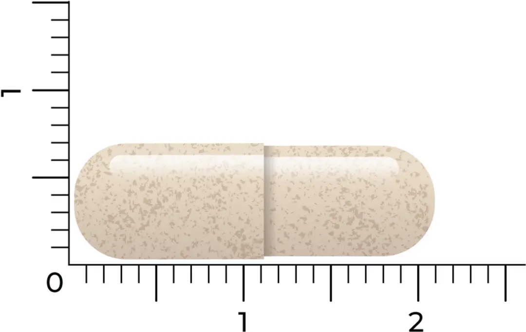 Vitakruid DPP-IV Ultimate 180 Vegicaps - afbeelding 3 van 6
