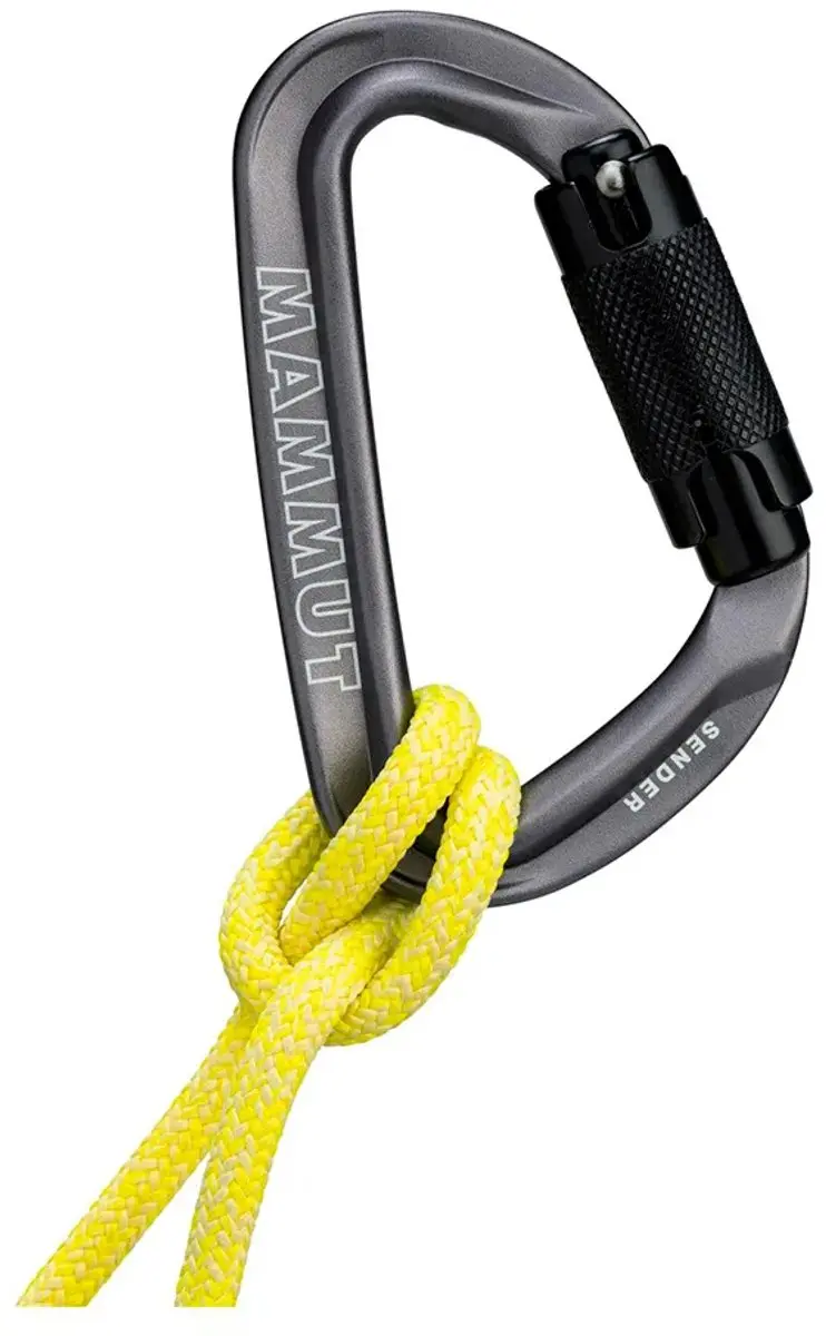 Mammut Sender Twistlock Karabijnhaak Grijs