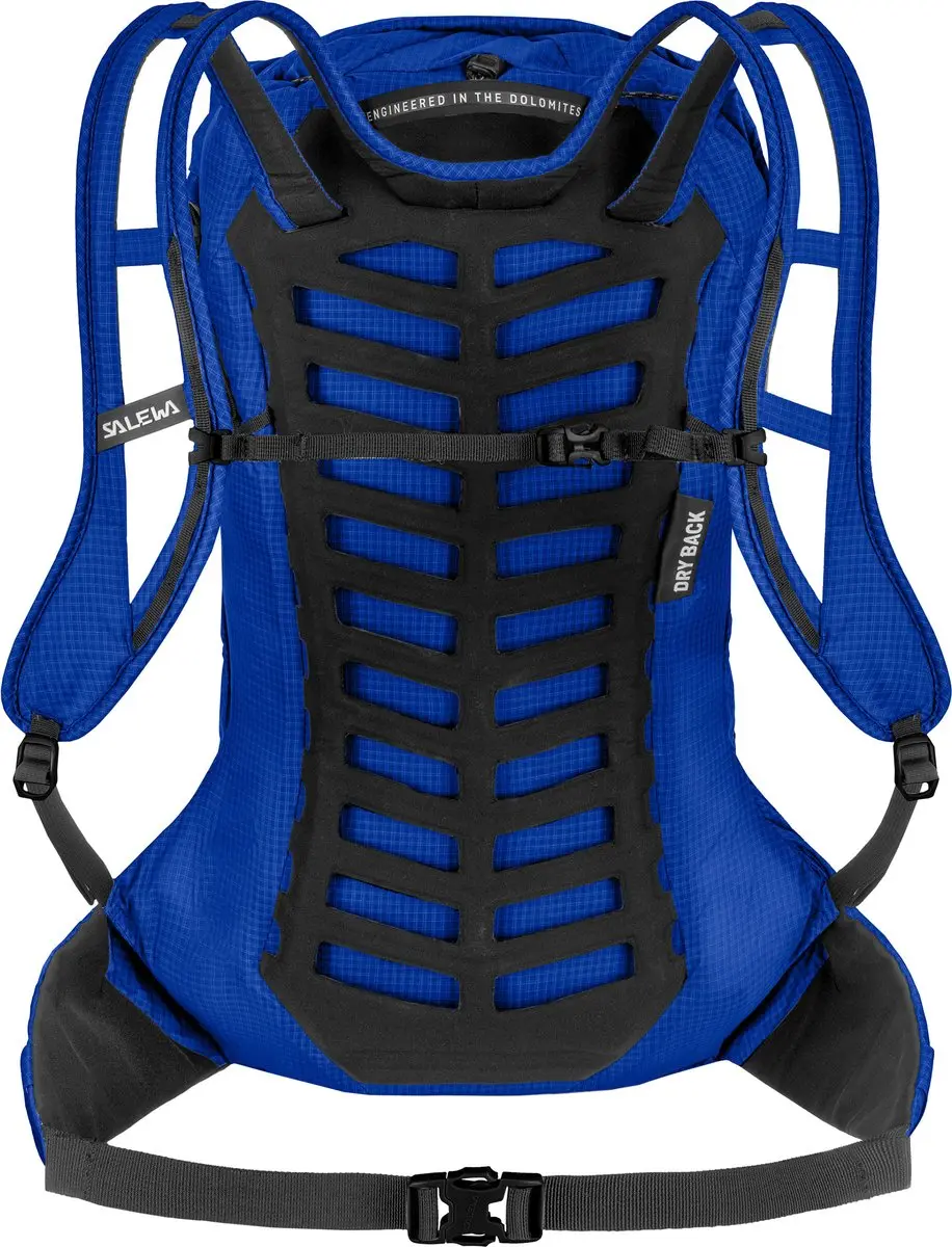 SALEWA wandelrugzak rugzak Pedroc Pro 22L M Electric blauw