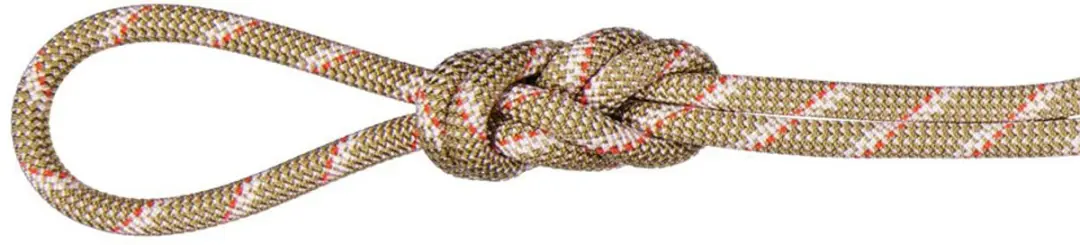 Mammut Alpine Classic 8 Mm Touw Goud 60 m
