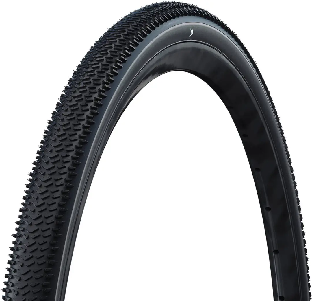 Schwalbe G-One R Pro TLR 28x2.15 - Black
