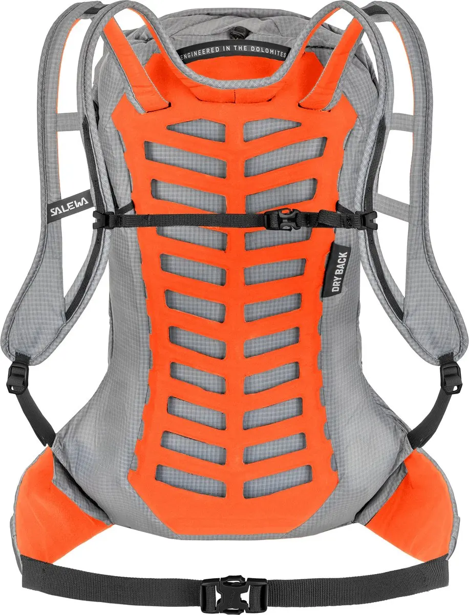 SALEWA wandelrugzak rugzak Pedroc Pro 22L M Alloy grijs
