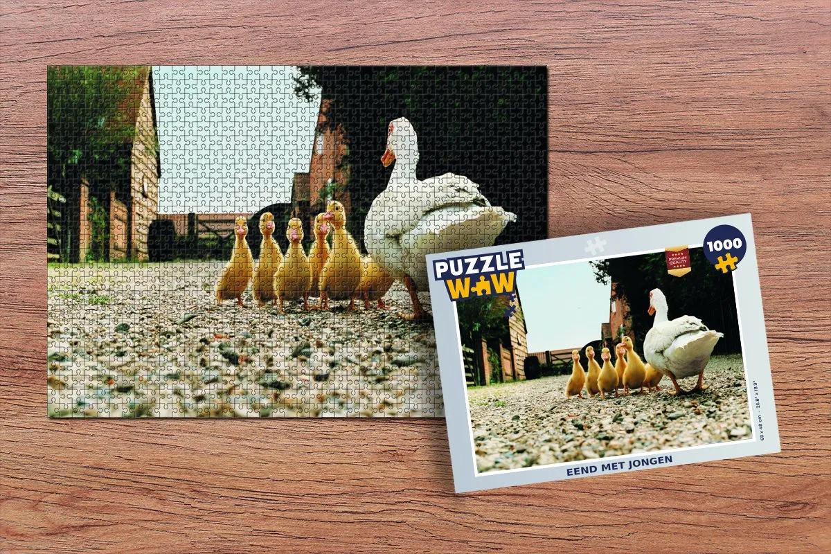 PuzzleWow Puzzel Eend met jongen - 1000 Stukken Multicolor