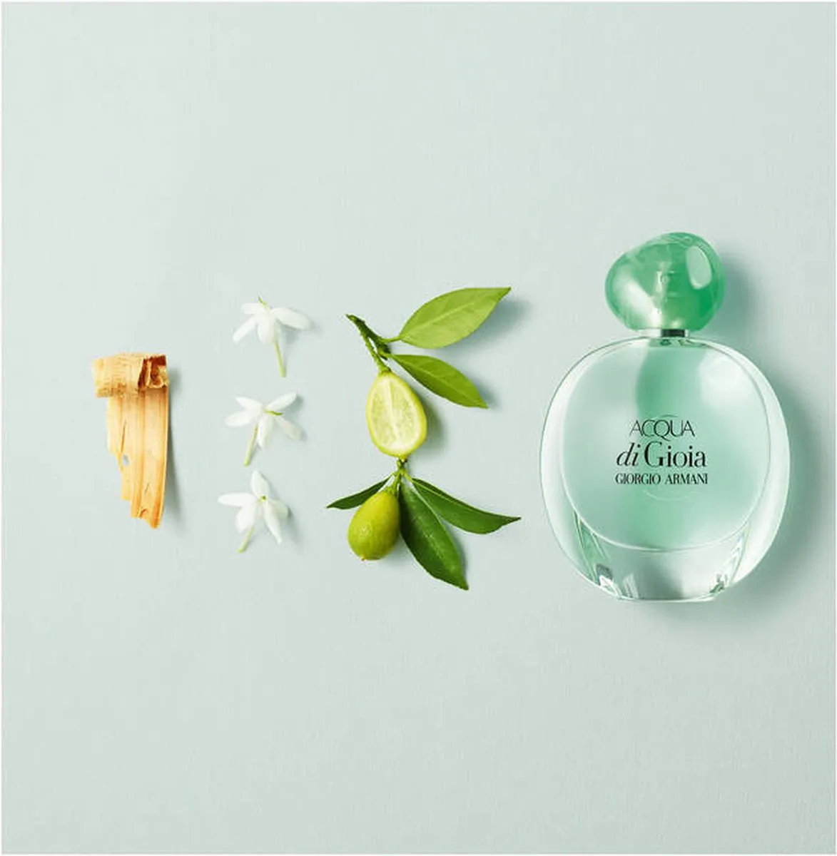 Armani Acqua di Gioia Damesparfum 30ml