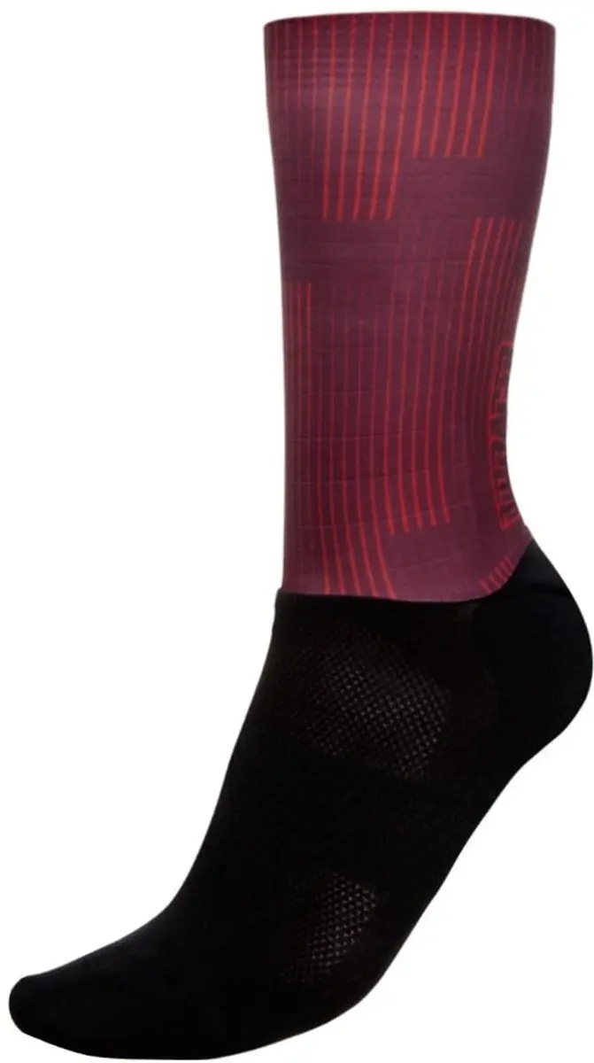 Bioracer Summer Socks Warp Bordeaux Maat 39/41
