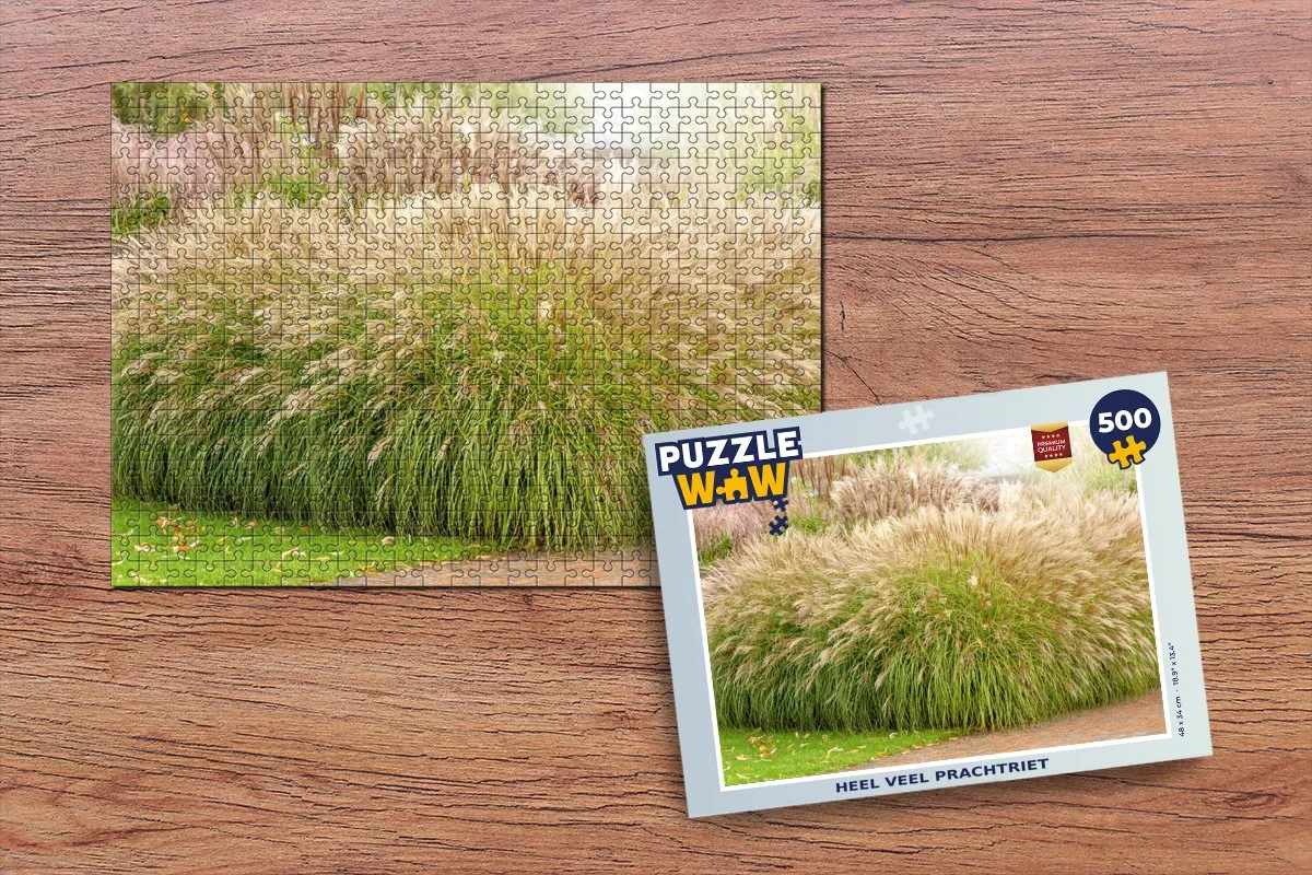 PuzzleWow Legpuzzel 500 Stuks Multicolor - MPN 6017233018003