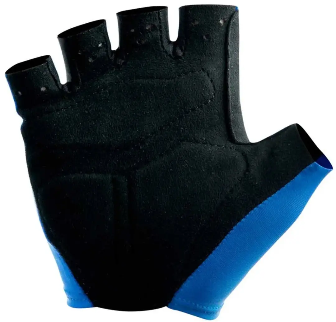 Bioracer Road Summer Korte Handschoenen - S - Blauw