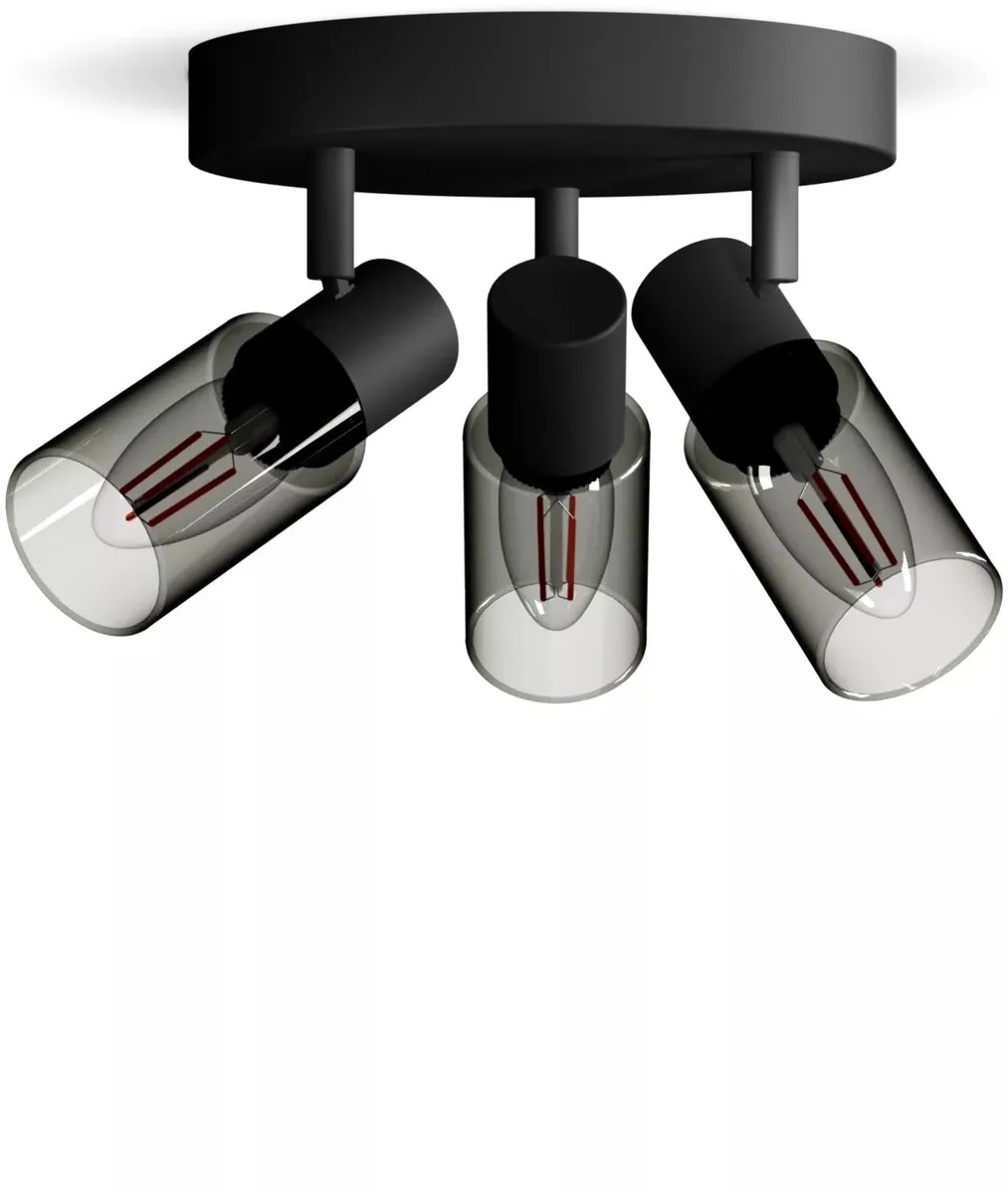 Philips Palms Spot Plafondspot 3x25W - Zwart