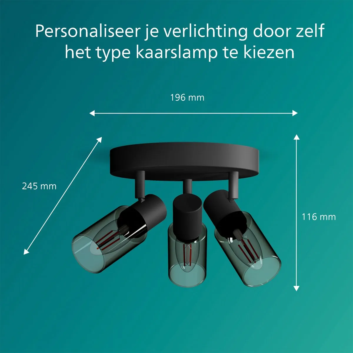 Philips Palms Spot Plafondspot 3x25W - Zwart