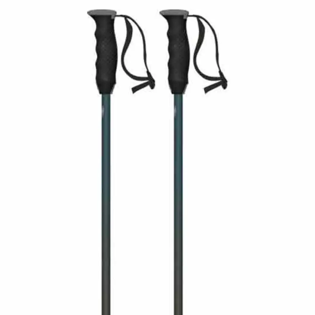 Atomic Redster Q Stokken Zilver 130 cm