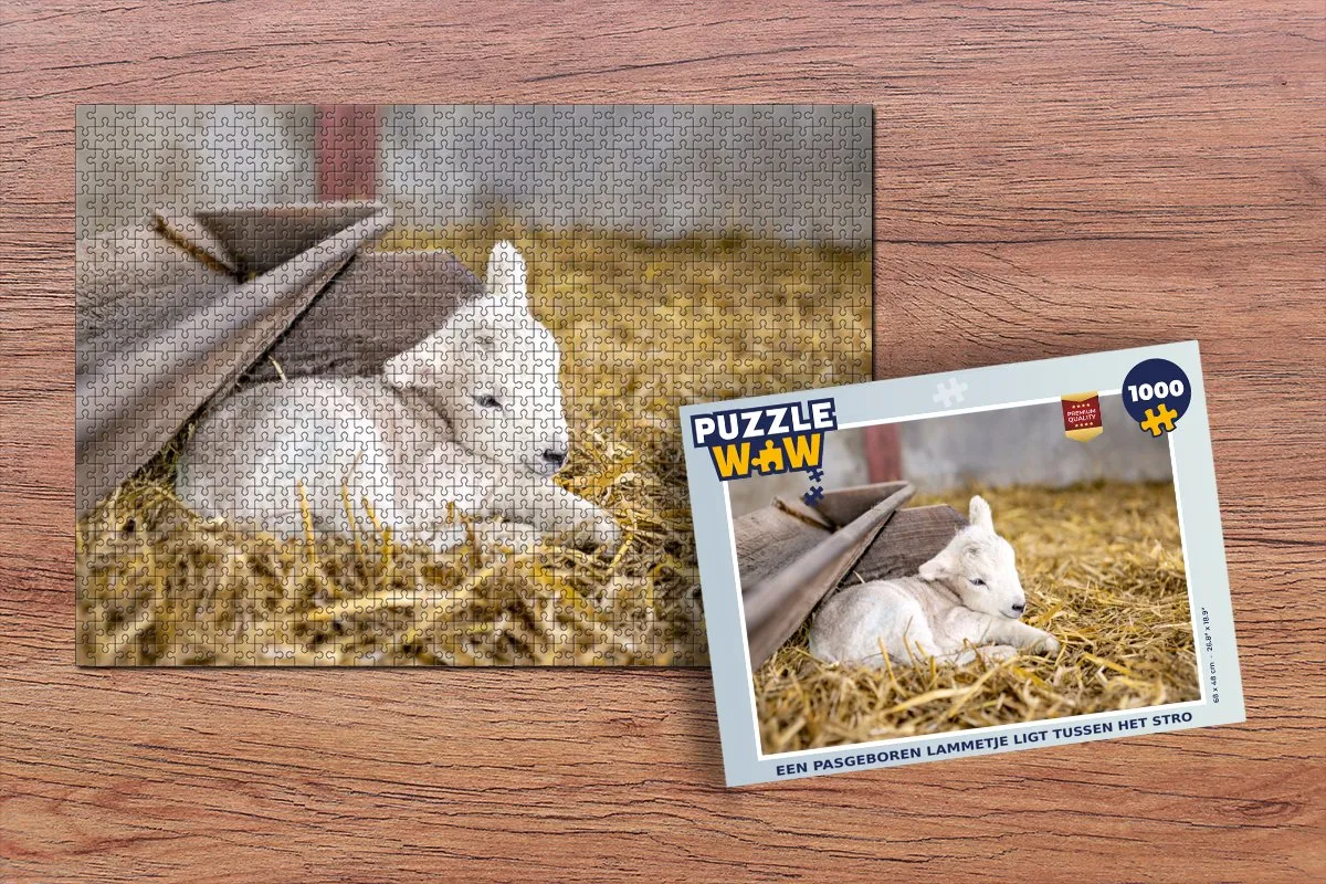PuzzleWow Legpuzzel Een Pasgeboren Lammetje - 1000 Stuks - Multicolor