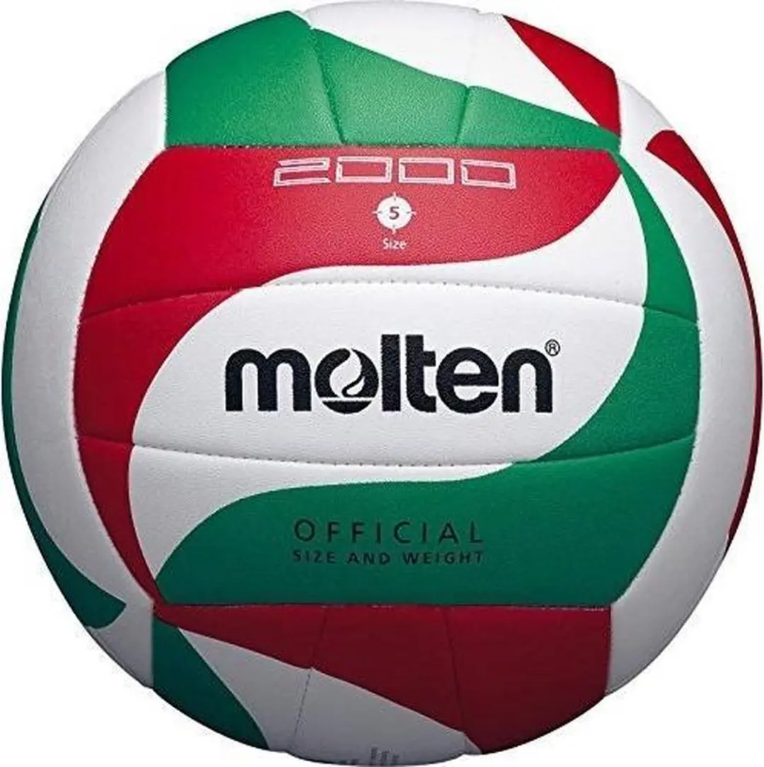 Molten V5M2000 Volleybal