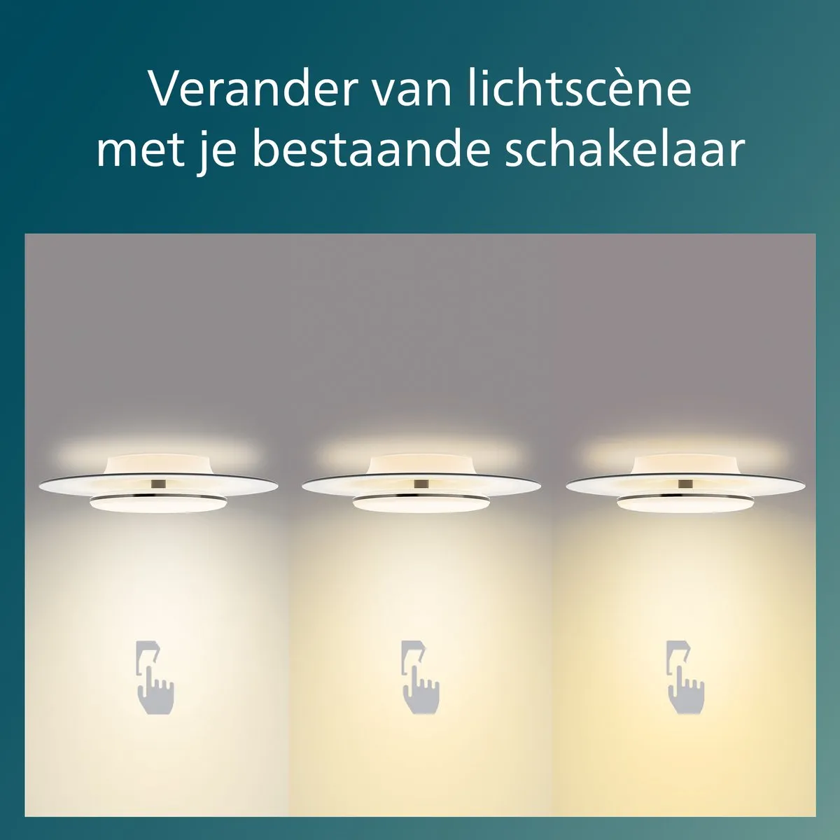 Philips Garnet Plafondlamp 40W - Zwart - 500cm