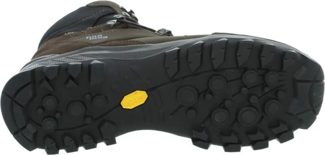 Hanwag Banks GTX Wandelschoenen Heren 43 - Mocca/Asphalt