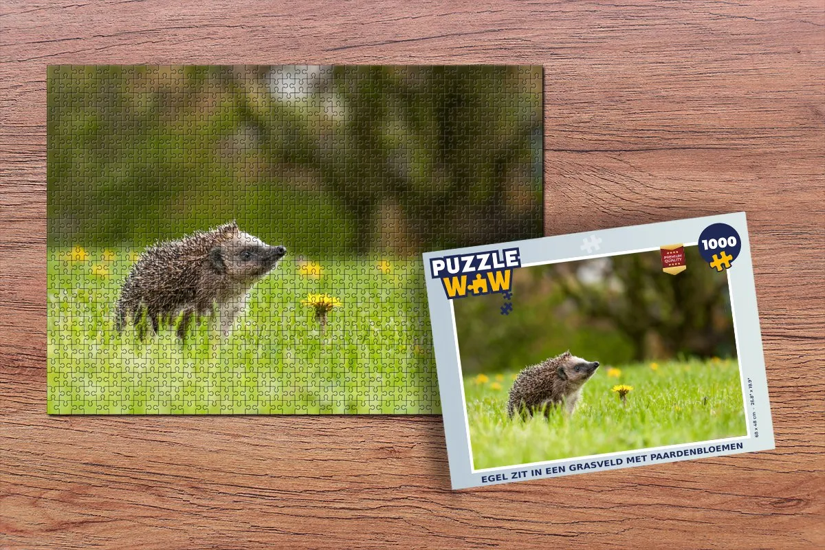 PuzzleWow Legpuzzel 1000 Stuks - Multicolor